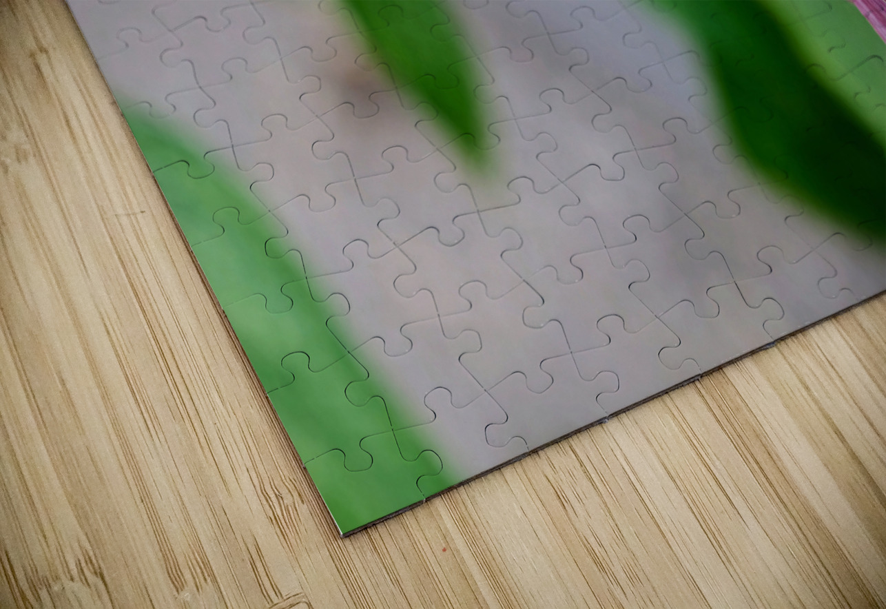 The Bee and the Purple Coneflower Click4Pix Puzzle