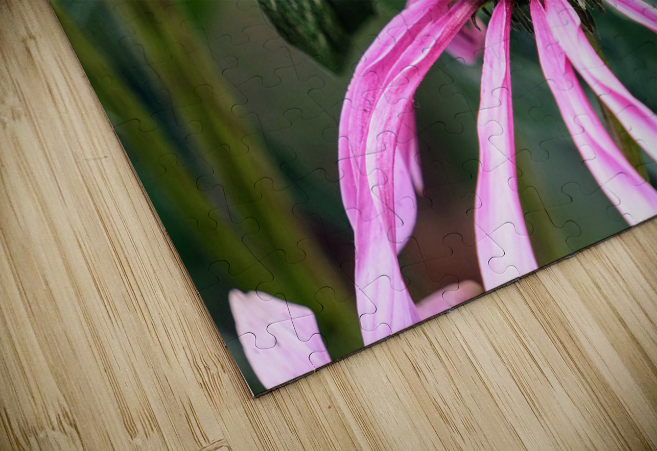 Dual Architects of Life on a Coneflower Stage Click4Pix Puzzle