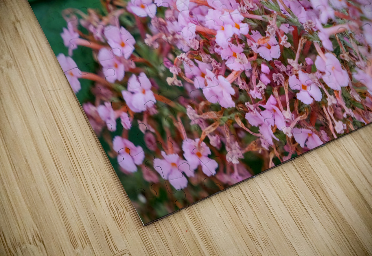 Just Bee Still In Fields of Pink Click4Pix Puzzle