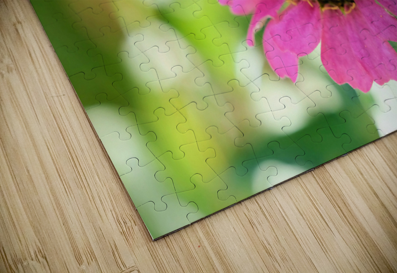 Petals and Purpose: An Ode to Quiet Industry Click4Pix Puzzle