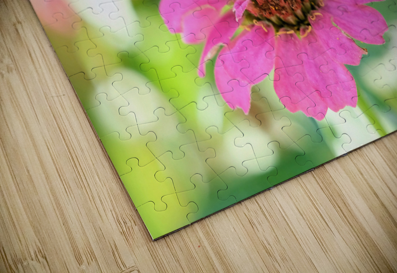 Tiny Architect of the Bloomworld Click4Pix Puzzle