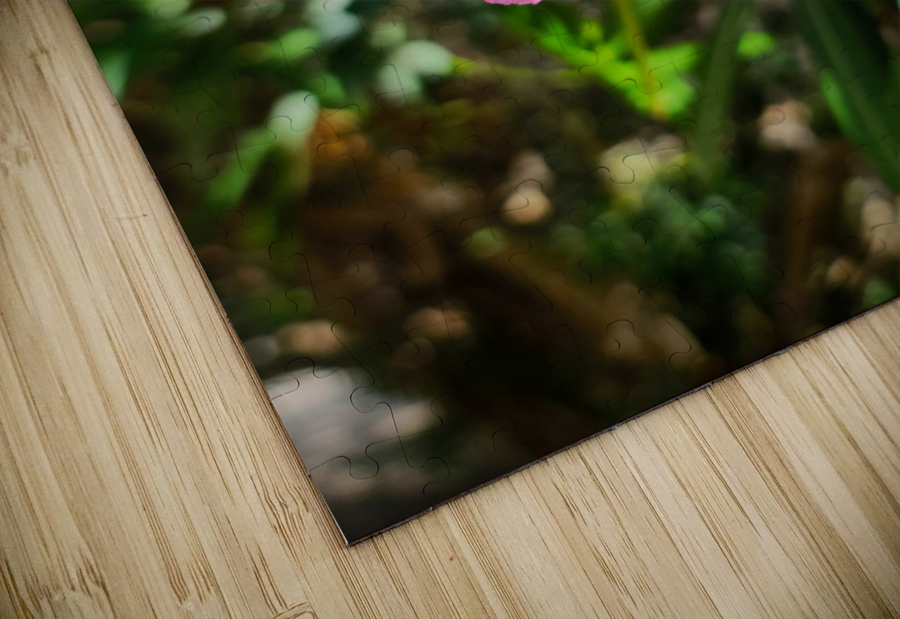 Sun-Kissed Solitude Click4Pix Puzzle