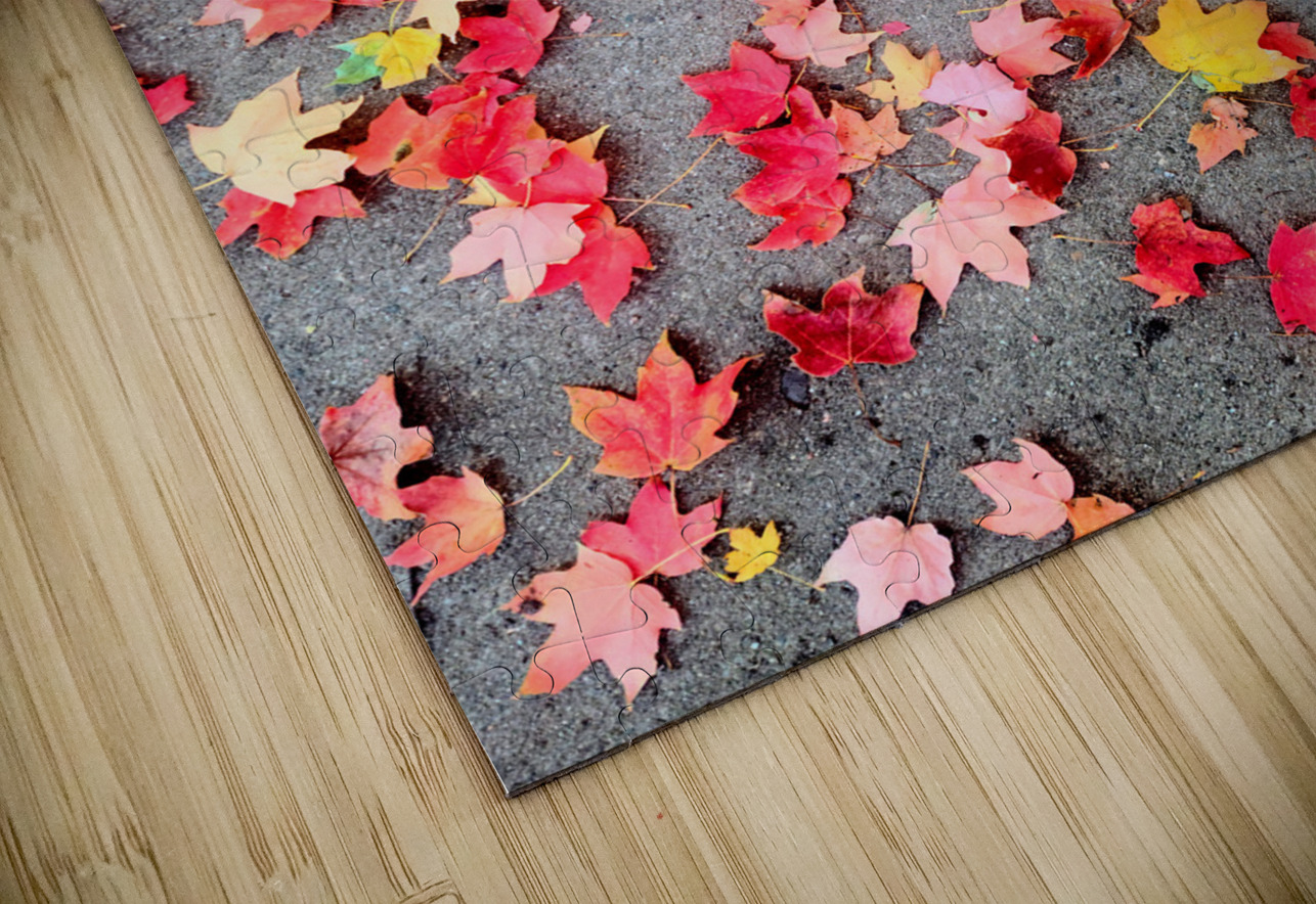 Colorful Fallen Beauties Click4Pix Puzzle