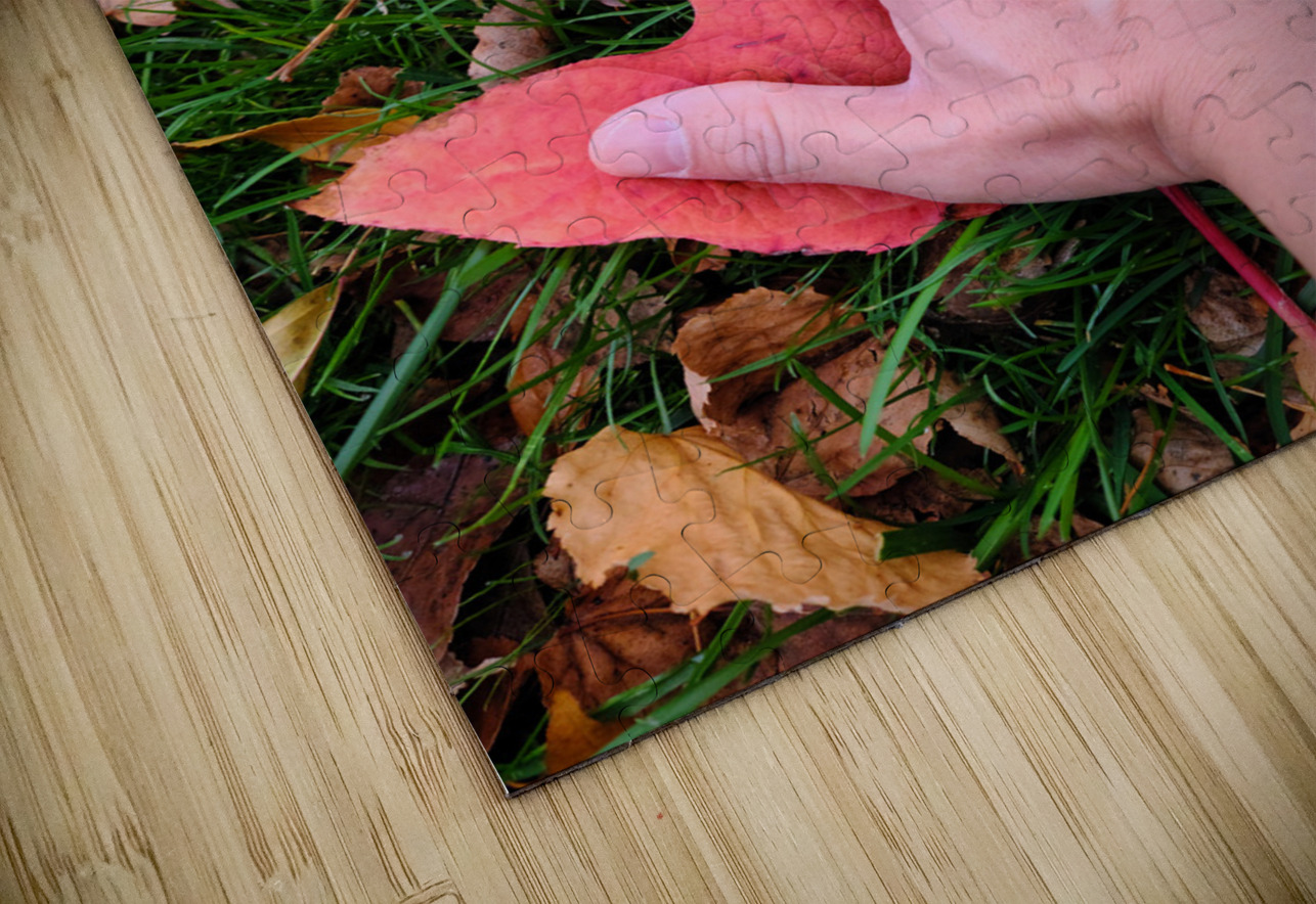 Holding Onto Fall : The Last Touch of Autumn Click4Pix Puzzle