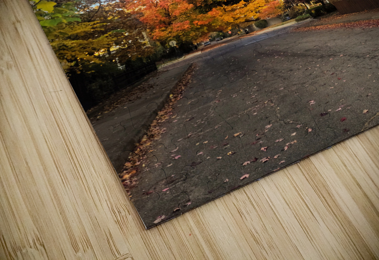 Fall Over the Fence Click4Pix Puzzle