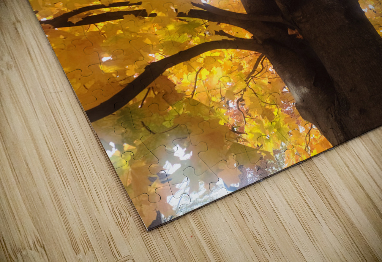 Golden Hour Tree Time 1A  Click4Pix Puzzle