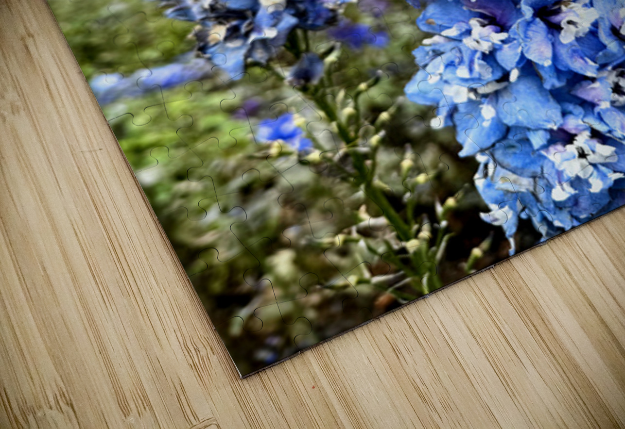 Blue Spire in Bloomstorm: Larkspur Click4Pix Puzzle