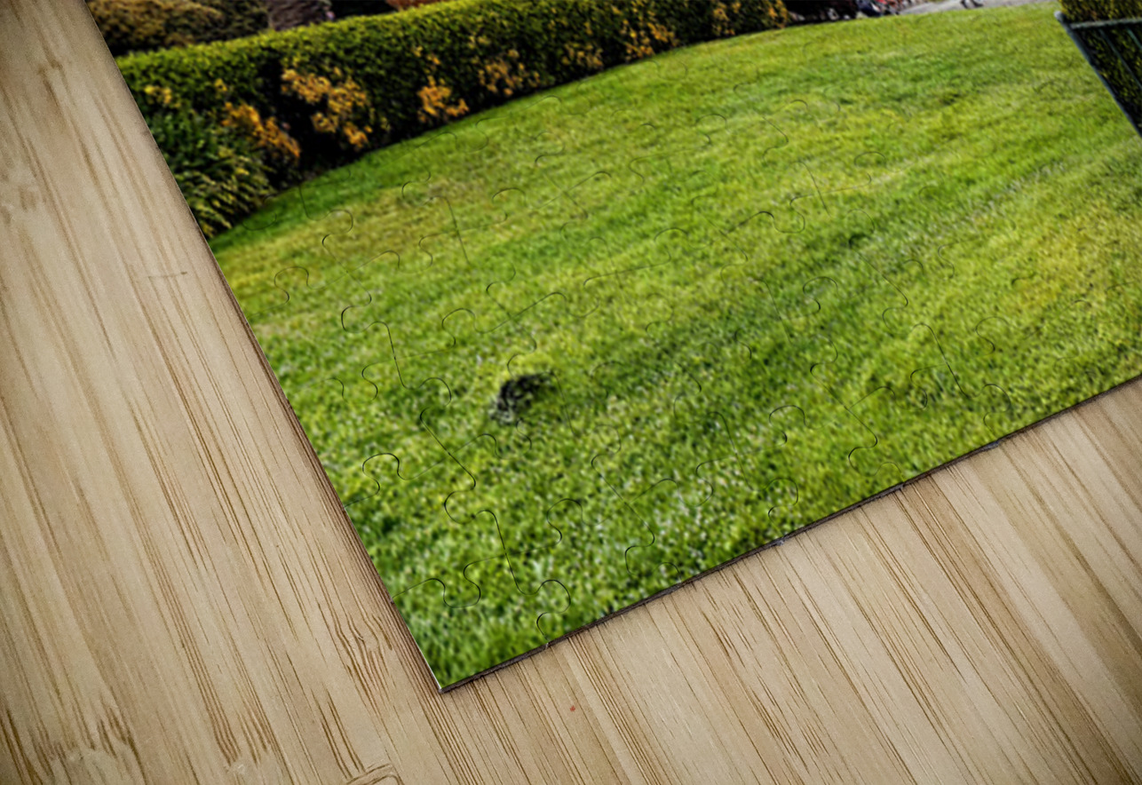 Civic Eden: The Park Awakens Click4Pix Puzzle