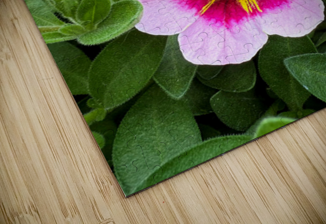 Duet in Full Color Click4Pix Puzzle