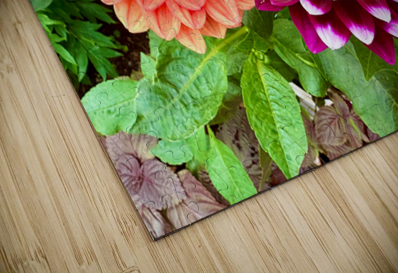 Nature’s Take on Balance and Beauty Click4Pix Puzzle