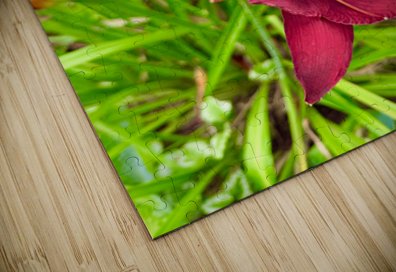 Scarlet Radiance Click4Pix Puzzle