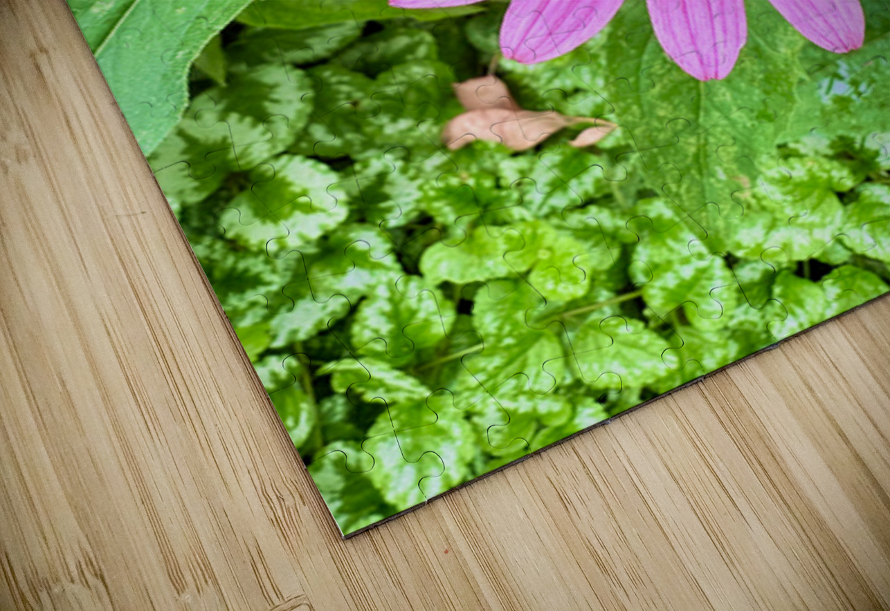 Heart of Summer Click4Pix Puzzle