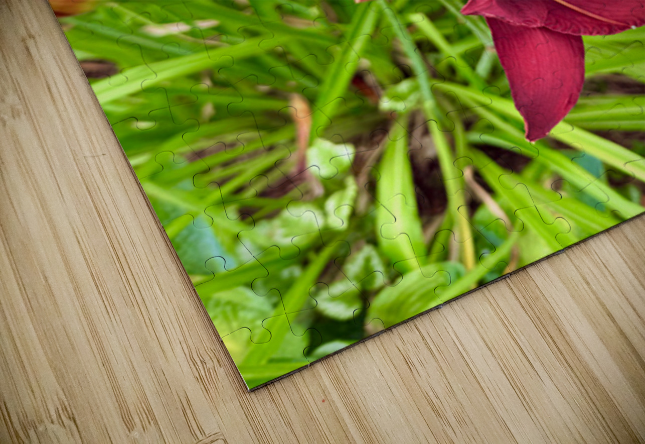 Flame of the Garden Click4Pix Puzzle