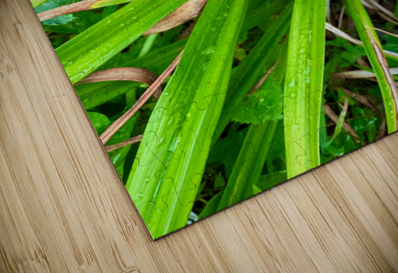 Crimson Flare Click4Pix Puzzle