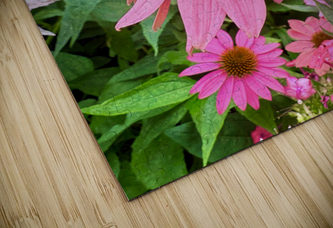Echinacea Ensemble Click4Pix Puzzle