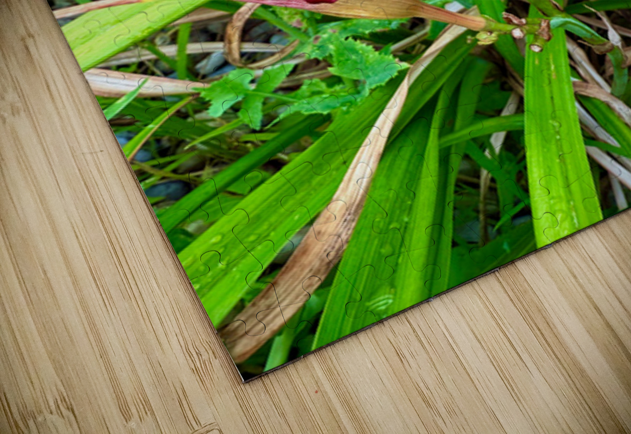 Burgundy Muse Click4Pix Puzzle