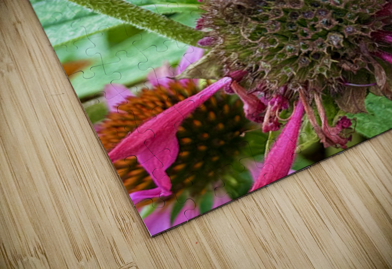 Fading Glory Last Harvest Click4Pix Puzzle