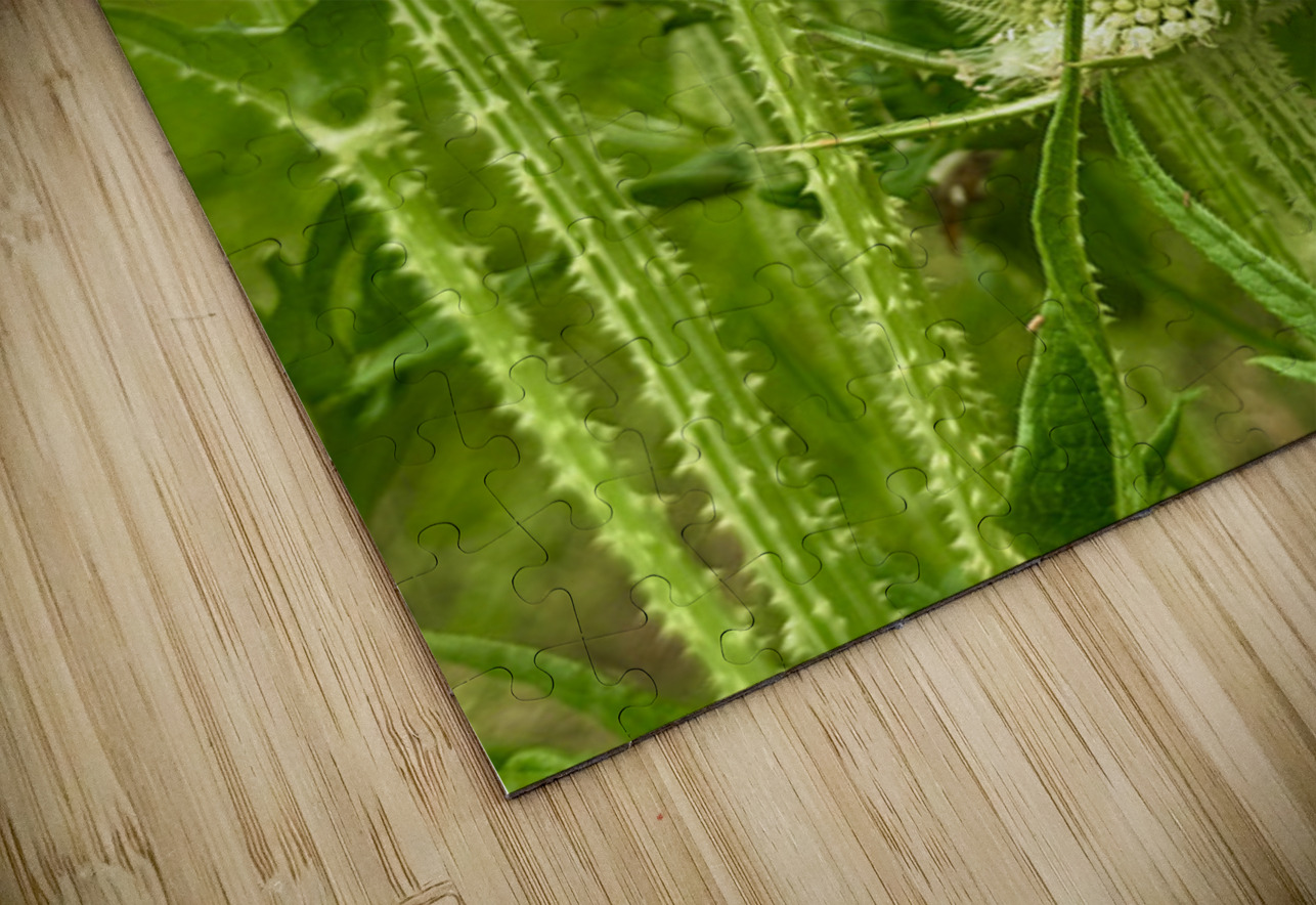 Wings and Spikes Click4Pix Puzzle