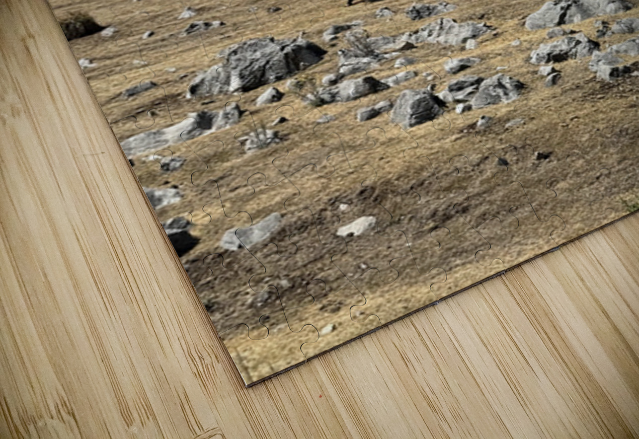 IMG 9558 Click4Pix Puzzle