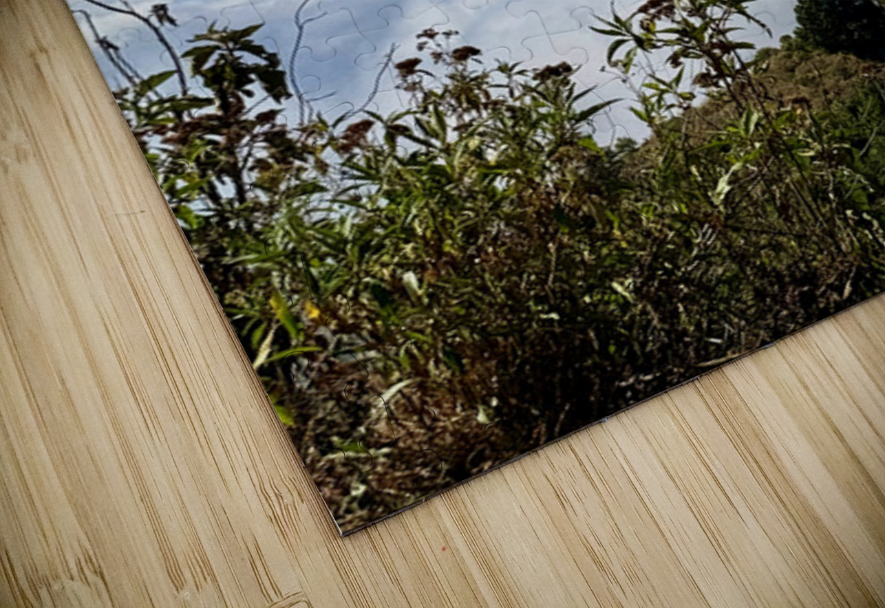 IMG 9140 Click4Pix Puzzle