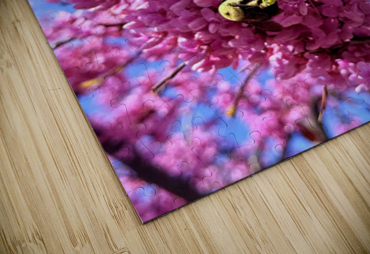 Bloom Diver Click4Pix Puzzle