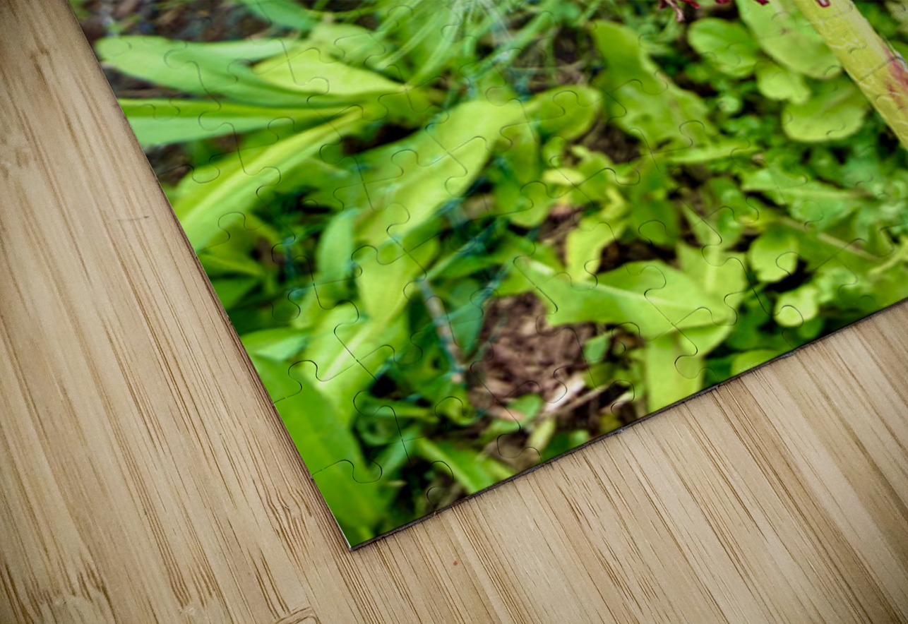 Garden Level Click4Pix Puzzle