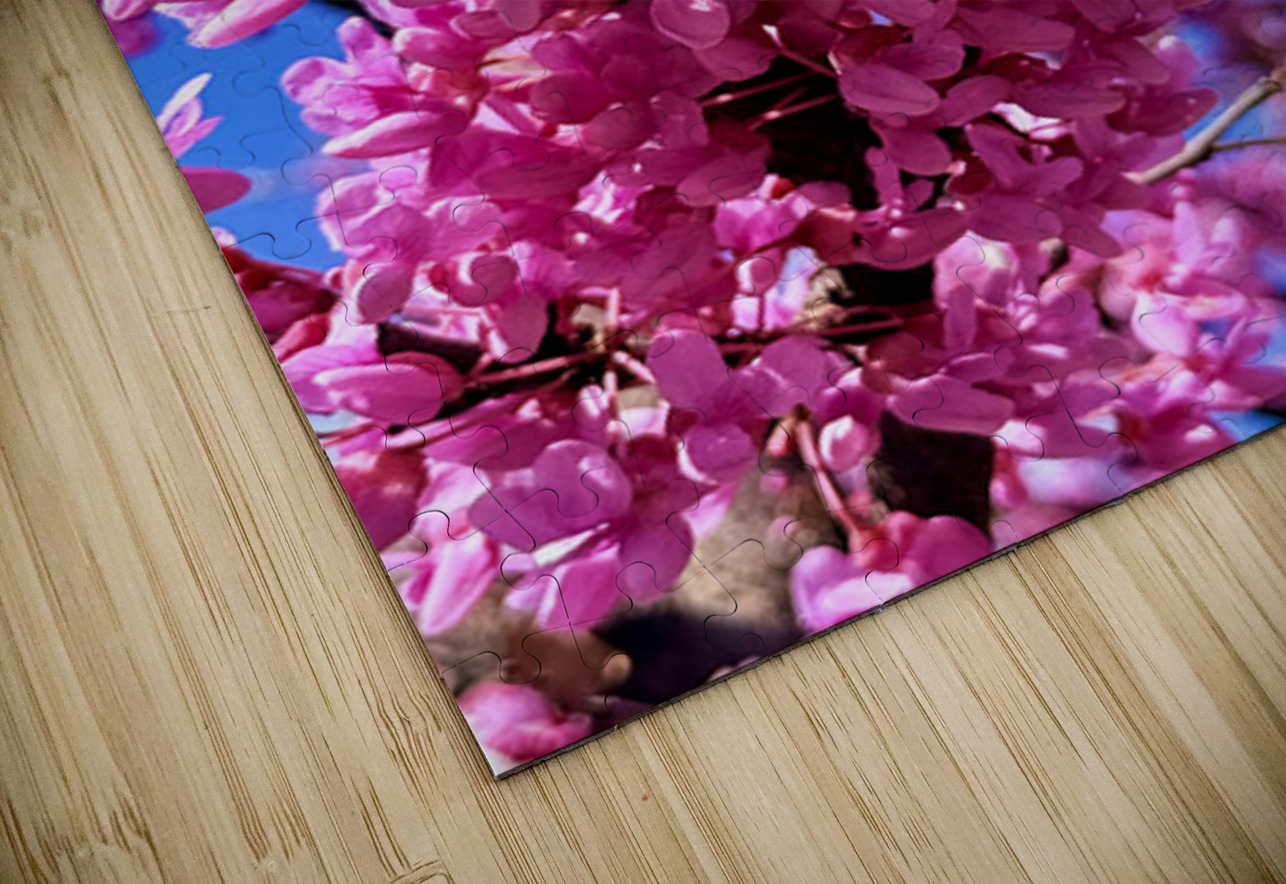 Nothing But Spring Click4Pix Puzzle