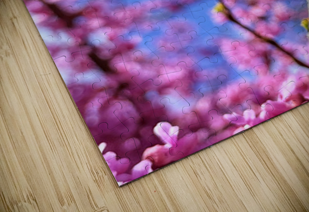 The Spring Shift Click4Pix Puzzle