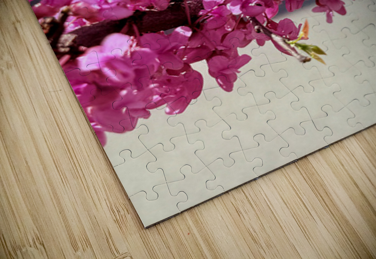 IMG 1627 Click4Pix Puzzle