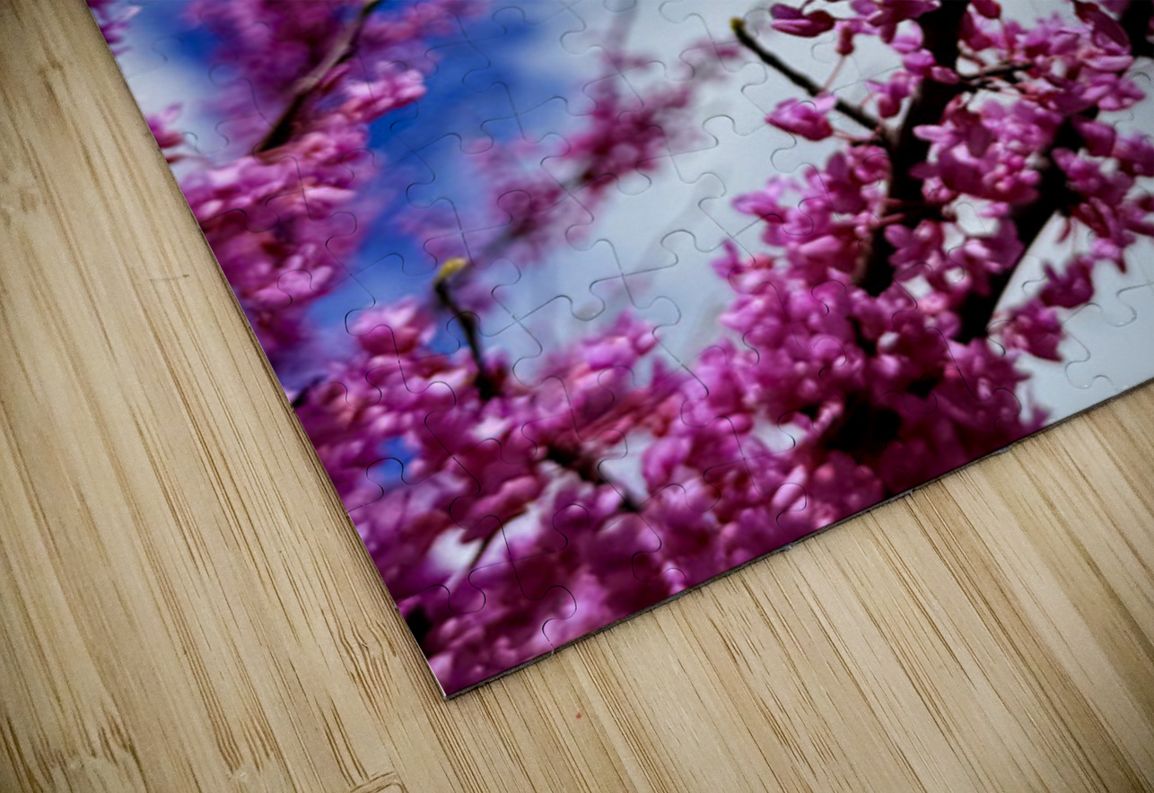 Bloom Keeper Click4Pix Puzzle