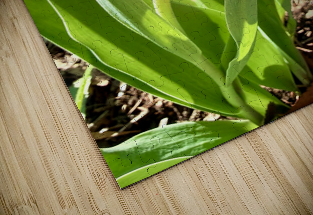 Tucked Away Click4Pix Puzzle