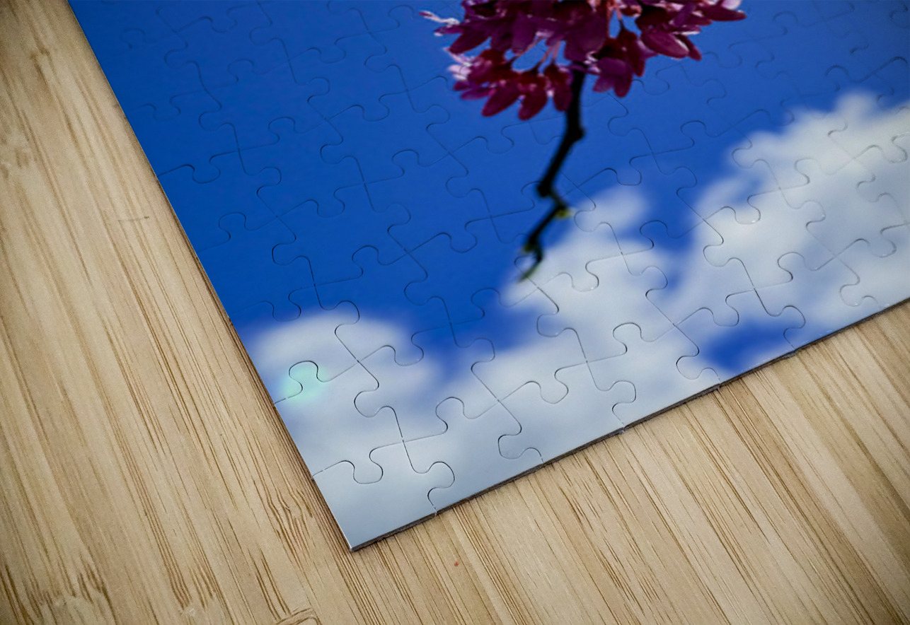Blossom & Wing Click4Pix Puzzle