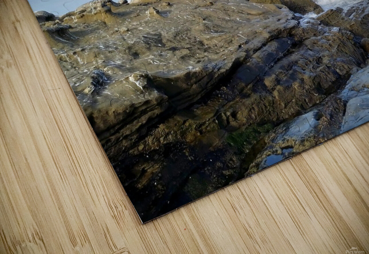 Seal Meditation 2B Click4Pix Puzzle