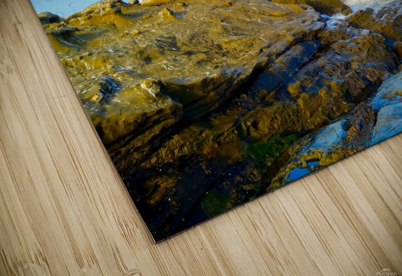 Seal Meditation 2 Click4Pix Puzzle