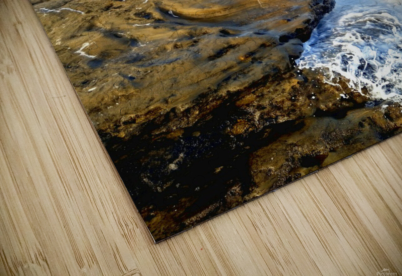 Seal Meditation Click4Pix Puzzle