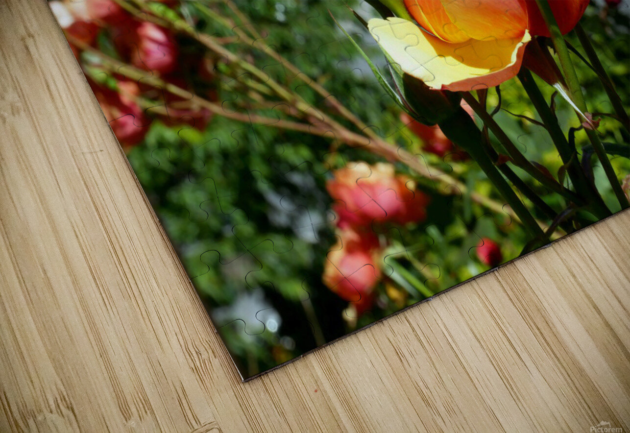 A City Rose Click4Pix Puzzle