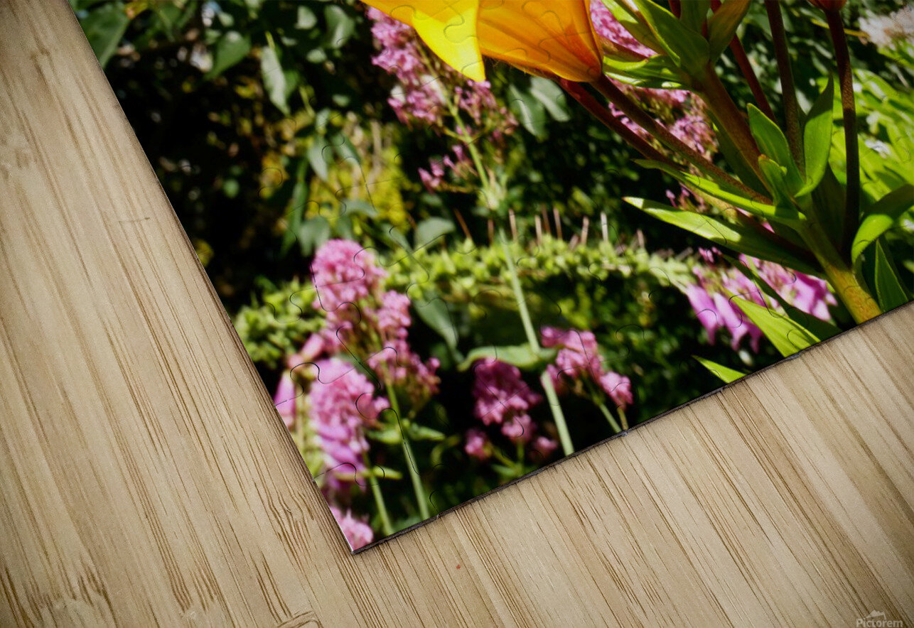 Bursting Beauty 2 Click4Pix Puzzle