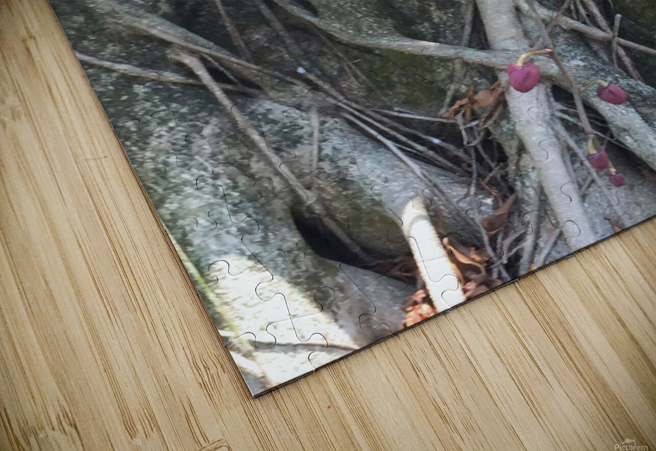 Natural Orchid 1B Click4Pix Puzzle