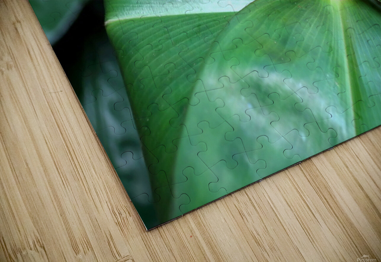 Flower Bud Click4Pix Puzzle