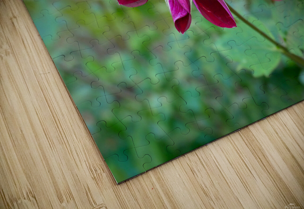 Flower Bloom 5B Click4Pix Puzzle