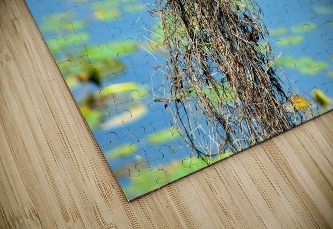 Calling for a Mate Click4Pix Puzzle