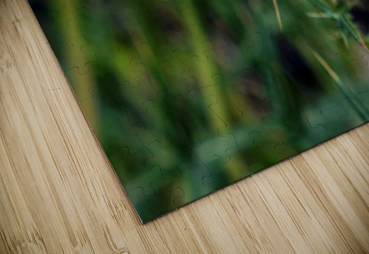 To Bee or Not to Bee  2 Click4Pix Puzzle