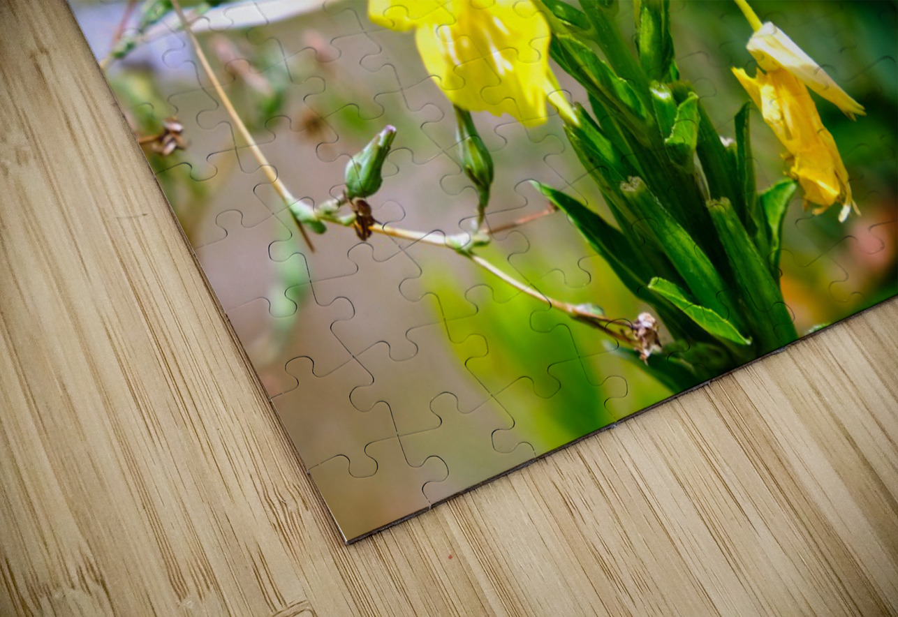 To Bee or Not to Bee  4 Click4Pix Puzzle