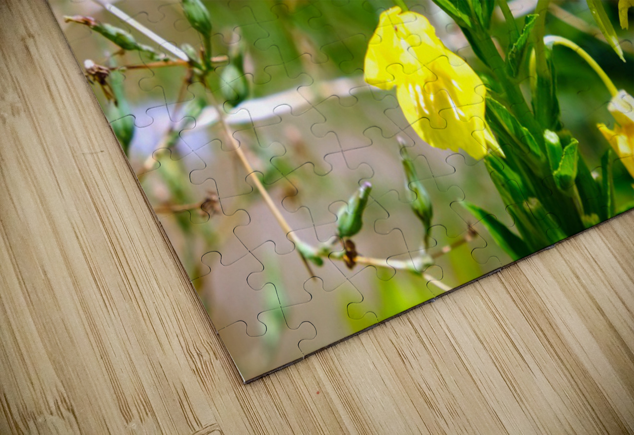 To Bee or Not to Bee  -- Early Bee Gets the Pollen Click4Pix Puzzle