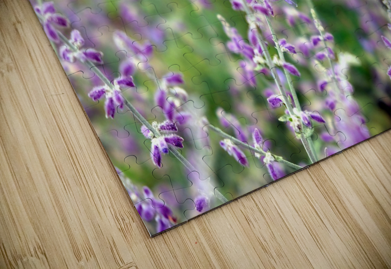 To Bee or Not To Bee--Small Flower Big Flavor 2 Click4Pix Puzzle