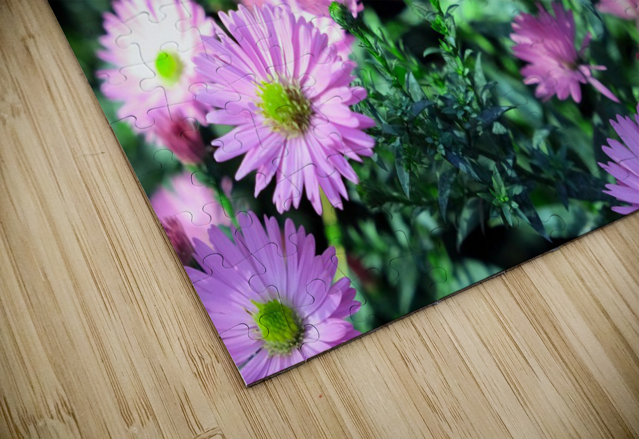 Pink Daisies 2C Click4Pix Puzzle
