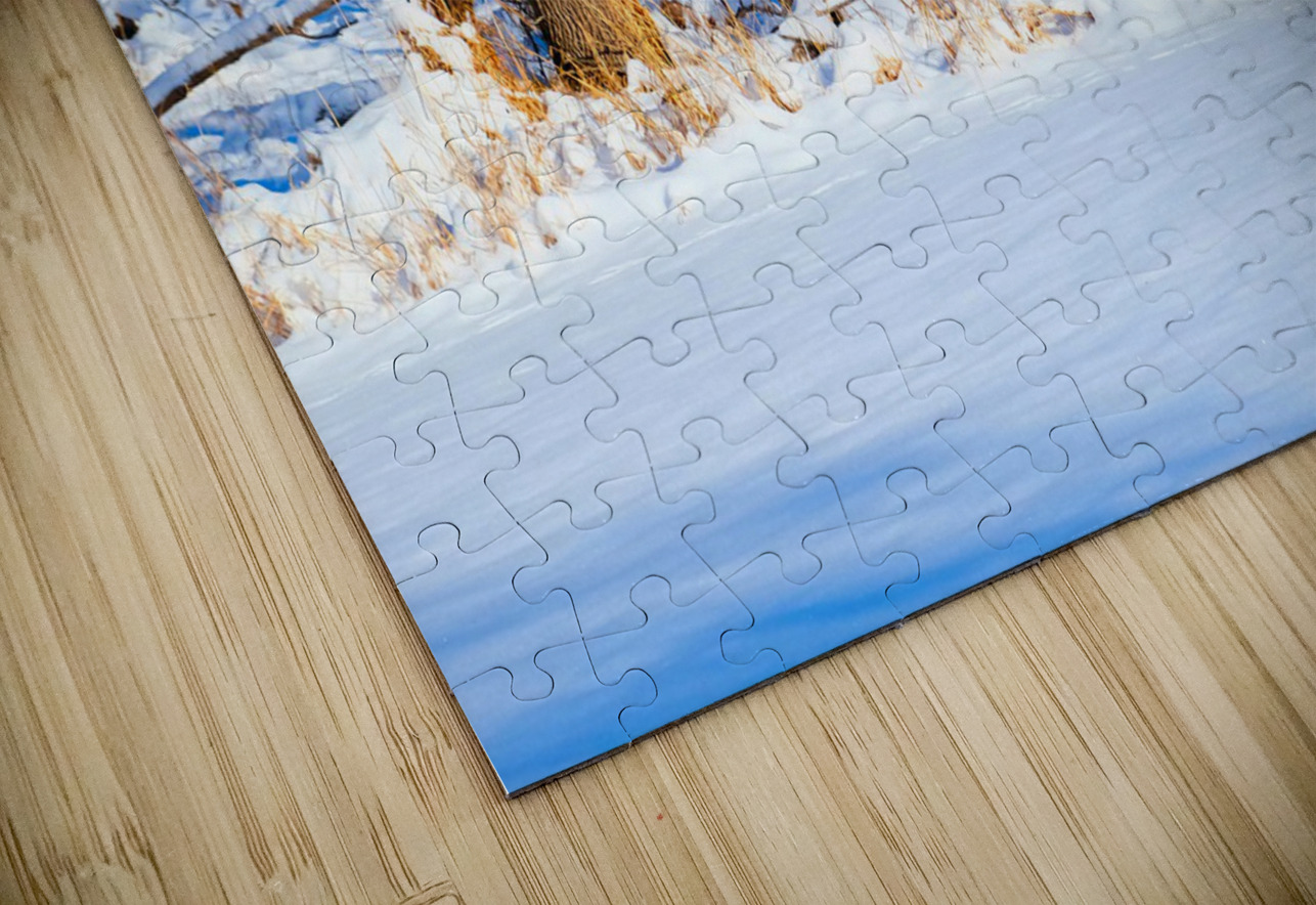 Hiding in Plain Sight Click4Pix Puzzle