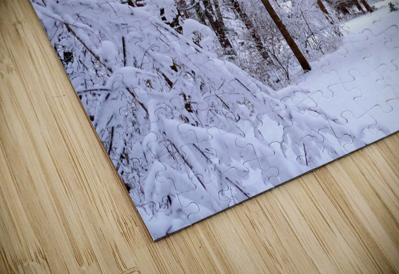 Winterscape Click4Pix Puzzle