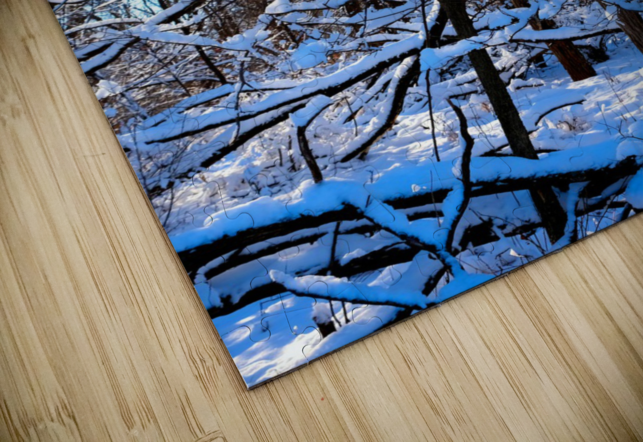 Frozen Limbs 3B Click4Pix Puzzle