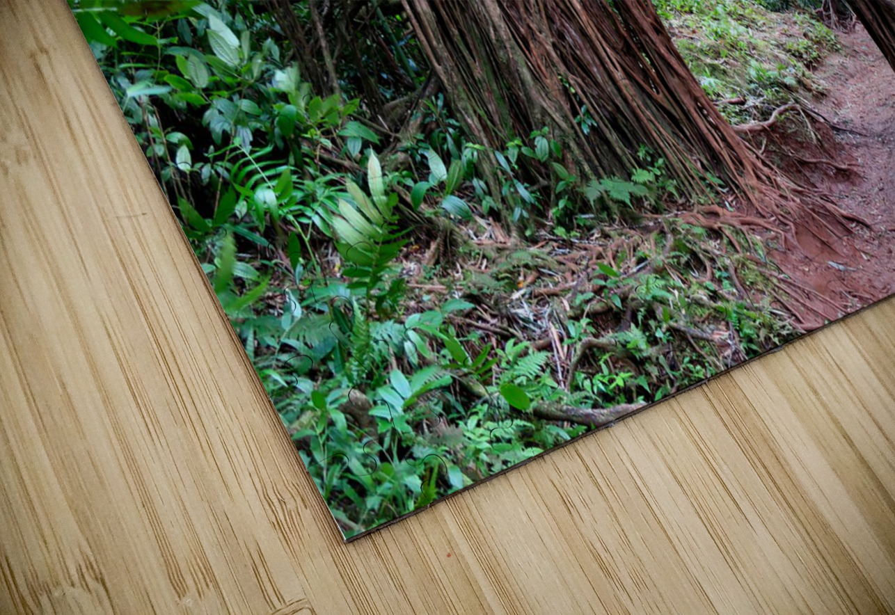 Welcome to the Jungle  Click4Pix Puzzle